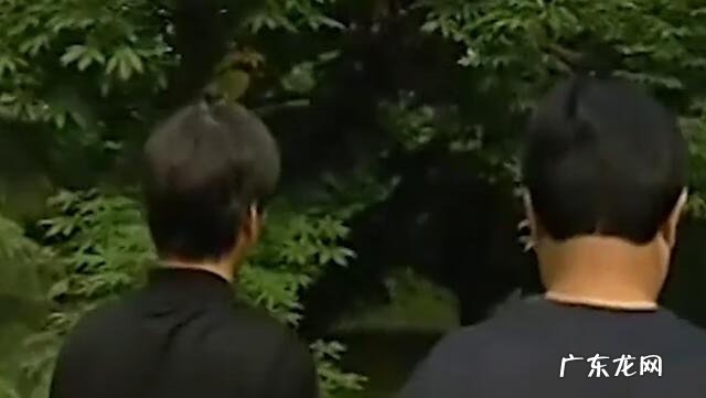 蛇的风水代表什么 风水中的蛇洞是什么样