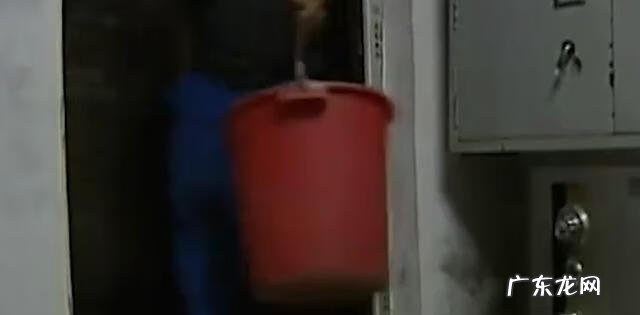 蛇的风水代表什么 风水中的蛇洞是什么样