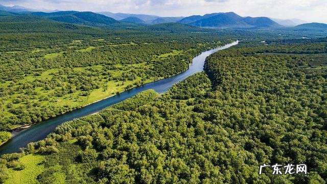 蛇的风水代表什么 风水中的蛇洞是什么样