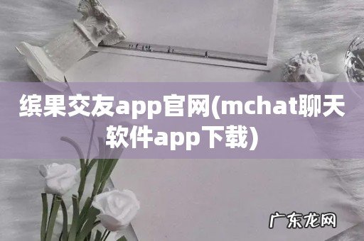 mchat聊天软件app下载 缤果交友app官网