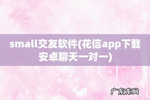 花信app下载安卓聊天一对一 small交友软件