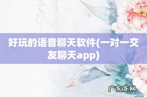 一对一交友聊天app 好玩的语音聊天软件