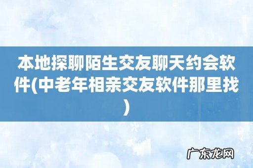 中老年相亲交友软件那里找 本地探聊陌生交友聊天约会软件