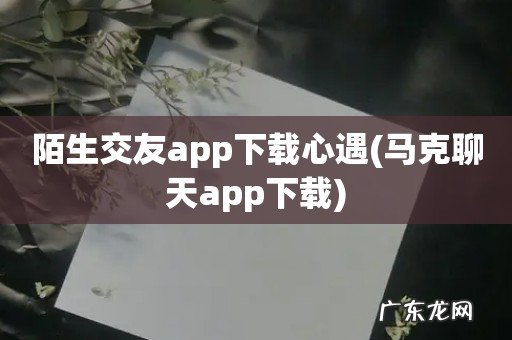 马克聊天app下载 陌生交友app下载心遇