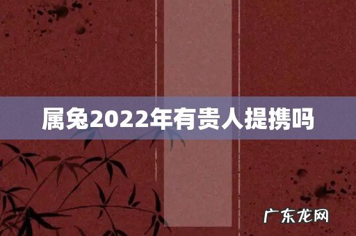 属兔2022年有贵人提携吗