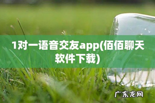 佰佰聊天软件下载 1对一语音交友app
