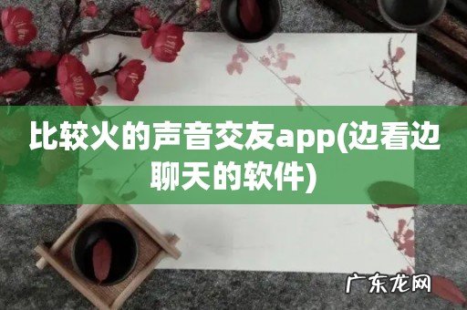 边看边聊天的软件 比较火的声音交友app