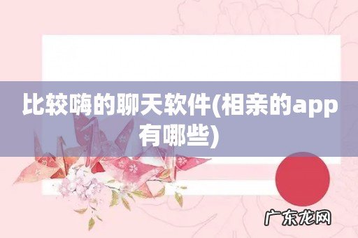 相亲的app有哪些 比较嗨的聊天软件