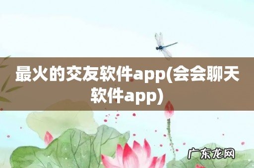 会会聊天软件app 最火的交友软件app