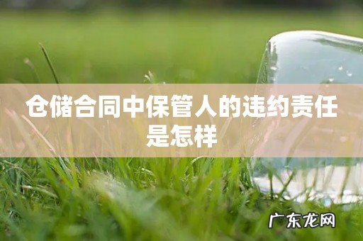 仓储合同中保管人的违约责任是怎样