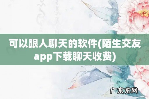 陌生交友app下载聊天收费 可以跟人聊天的软件