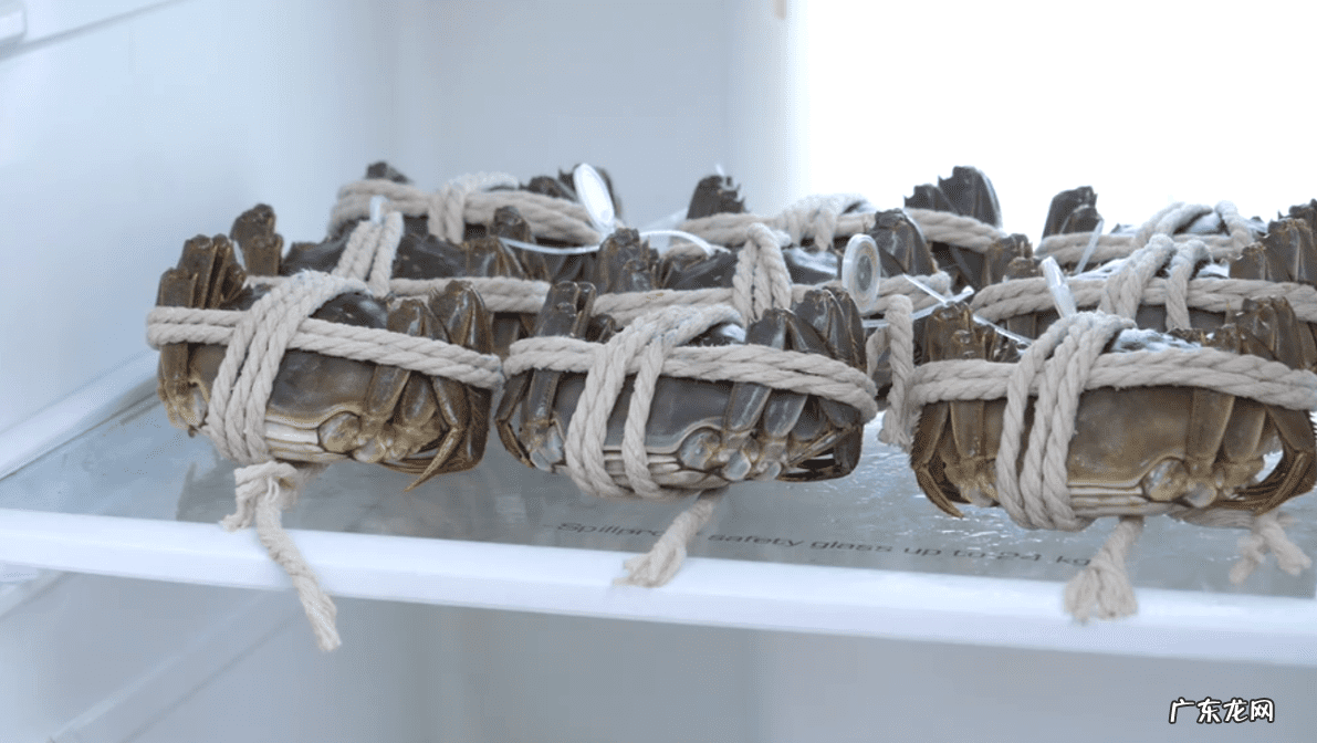 螃蟹死了多久之内吃没事 怎么判断螃蟹死了多久