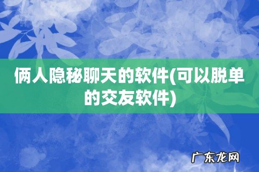 可以脱单的交友软件 俩人隐秘聊天的软件