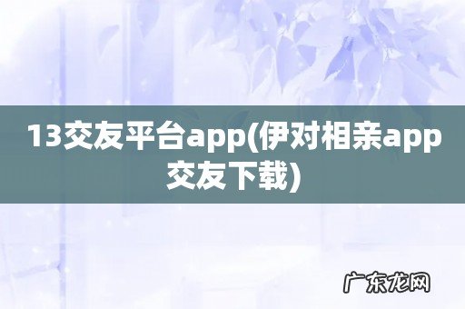 伊对相亲app交友下载 13交友平台app