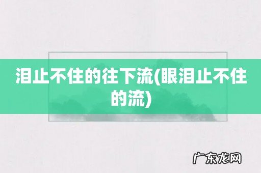 眼泪止不住的流 泪止不住的往下流
