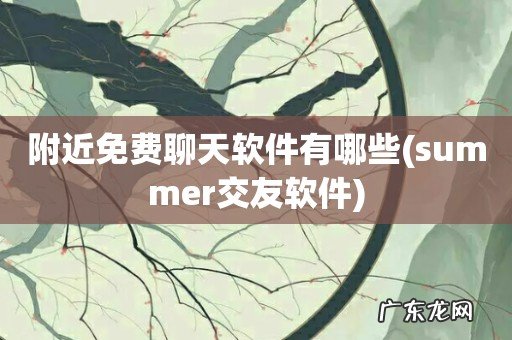 summer交友软件 附近免费聊天软件有哪些