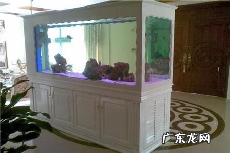 风水鱼池在什么位置好 鱼池在什方位风水好