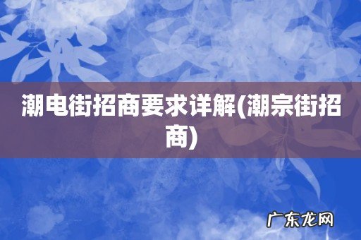 潮宗街招商 潮电街招商要求详解