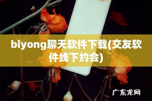 交友软件线下约会 biyong聊天软件下载