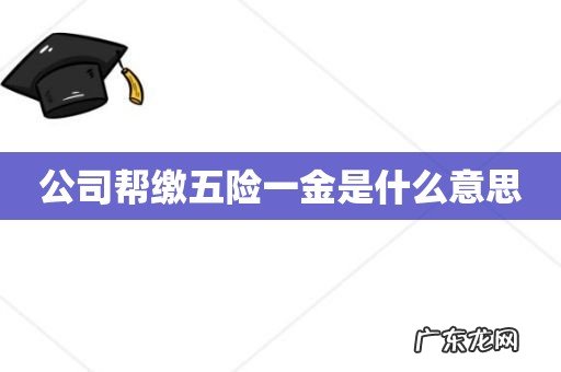 公司帮缴五险一金是什么意思