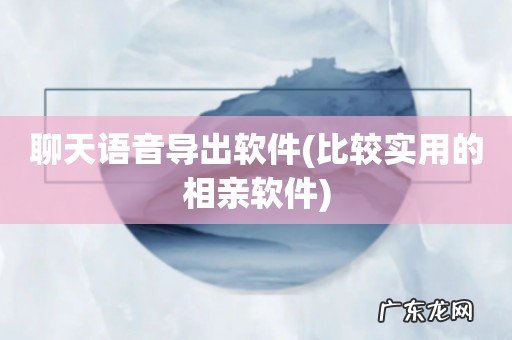 比较实用的相亲软件 聊天语音导出软件