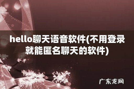 不用登录就能匿名聊天的软件 hello聊天语音软件