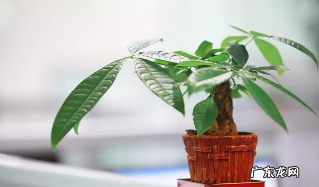 宅地风水百宜百忌全文 家居风水六宜