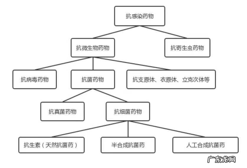抗生素 抗菌素 抗生素和抗菌素的关系