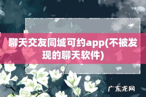 不被发现的聊天软件 聊天交友同城可约app