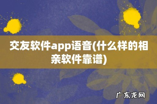 什么样的相亲软件靠谱 交友软件app语音