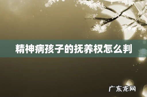 精神病孩子的抚养权怎么判