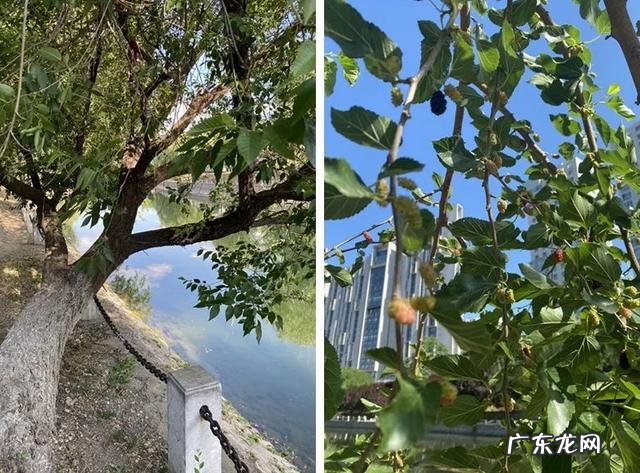 三元风水学 三元桥风水