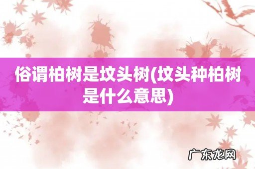 坟头种柏树是什么意思 俗谓柏树是坟头树