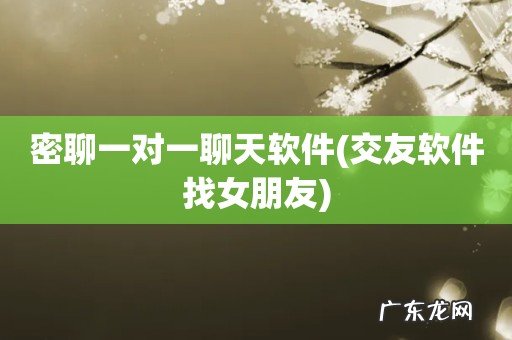 交友软件找女朋友 密聊一对一聊天软件