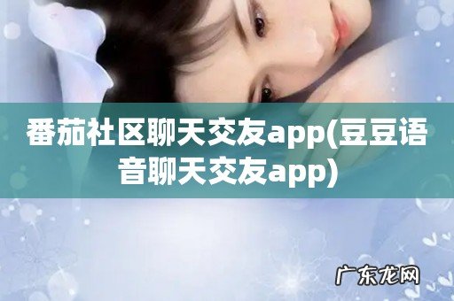 豆豆语音聊天交友app 番茄社区聊天交友app