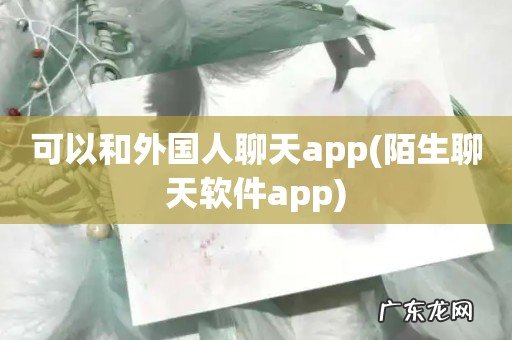 陌生聊天软件app 可以和外国人聊天app