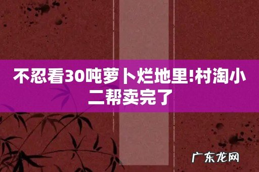 不忍看30吨萝卜烂地里!村淘小二帮卖完了