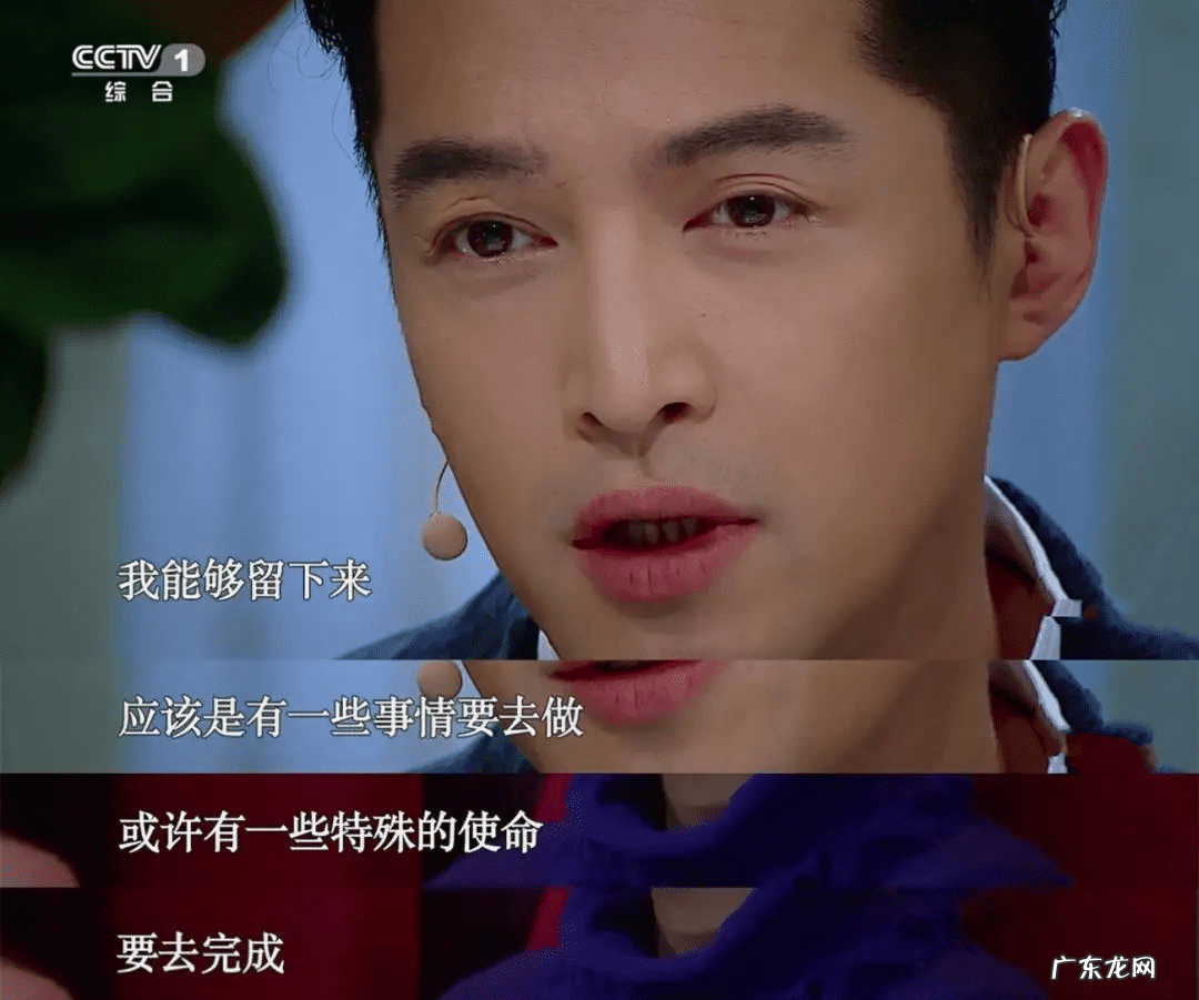 锋芝离婚原因 锋芝婚变原因