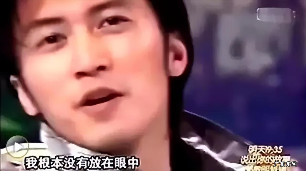 锋芝离婚原因 锋芝婚变原因