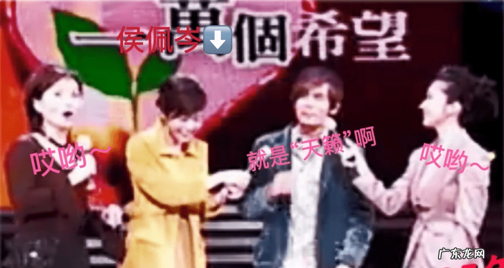 锋芝离婚原因 锋芝婚变原因