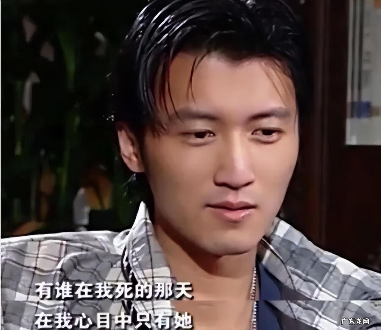 锋芝离婚原因 锋芝婚变原因