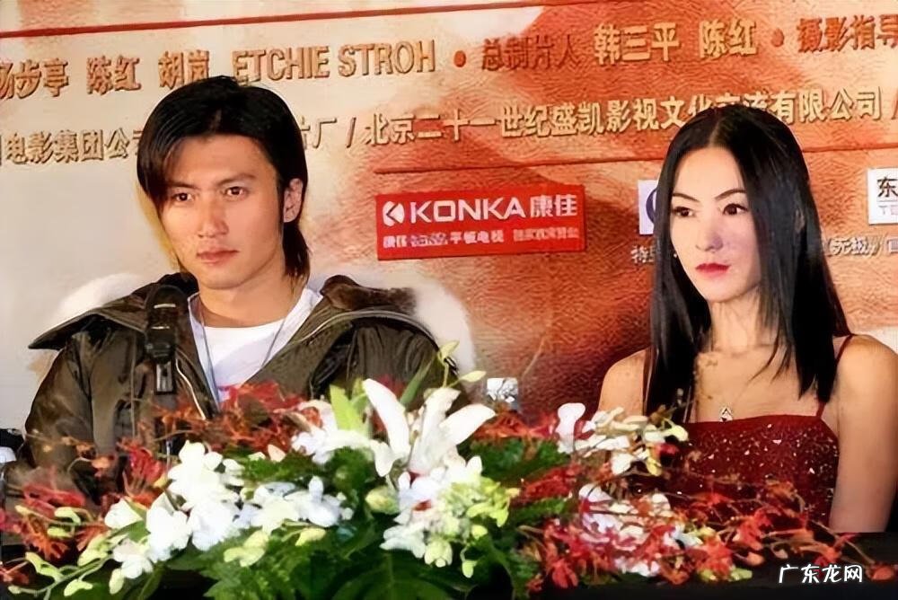 锋芝离婚原因 锋芝婚变原因