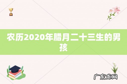农历2020年腊月二十三生的男孩