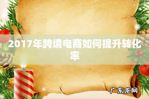 2017年跨境电商如何提升转化率