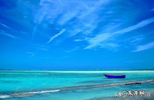 南海填岛 南海填海岛屿