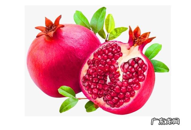 家里种梨树好吗风水 梨树种在哪里风水最好