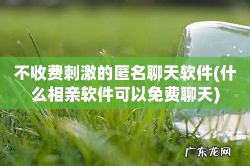 什么相亲软件可以免费聊天 不收费刺激的匿名聊天软件