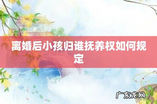 离婚后小孩归谁抚养权如何规定