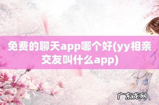 yy相亲交友叫什么app 免费的聊天app哪个好