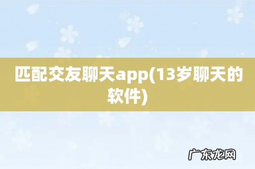 13岁聊天的软件 匹配交友聊天app